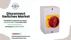 Disconnect Switches Market