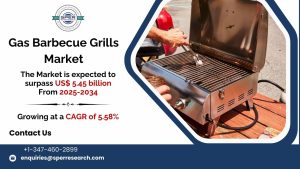 Gas Barbecue Grills Market