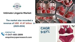 Intimate Lingerie Market1