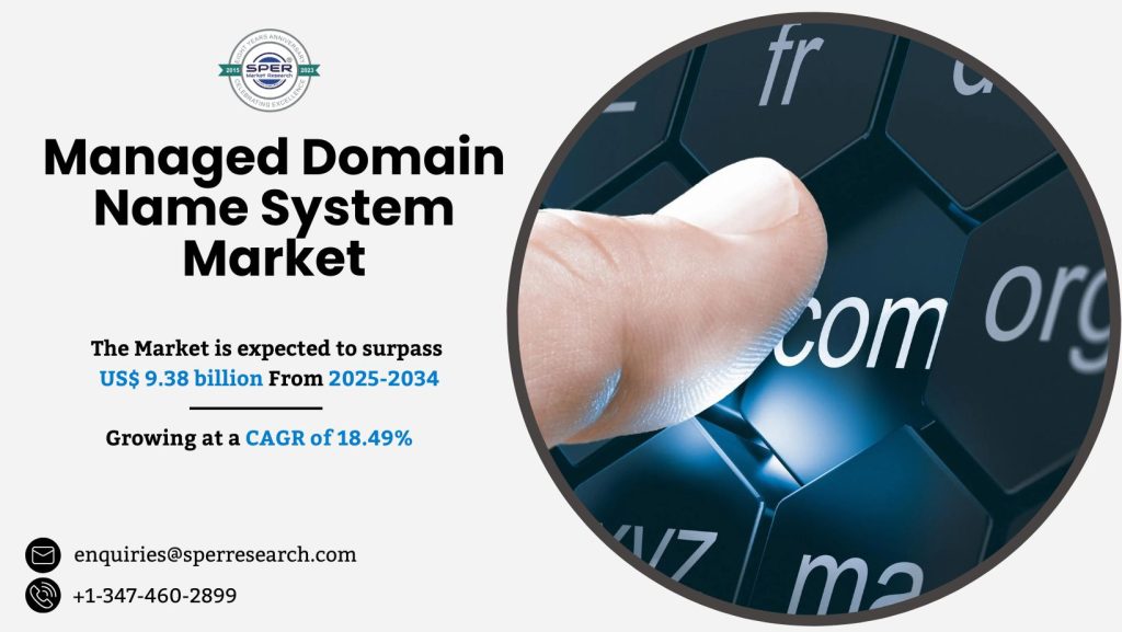 Managed Domain Name System Market