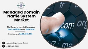 Managed Domain Name System Market