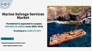 Marine Salvage Services Market