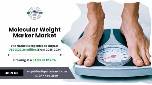 Molecular Weight Marker Market