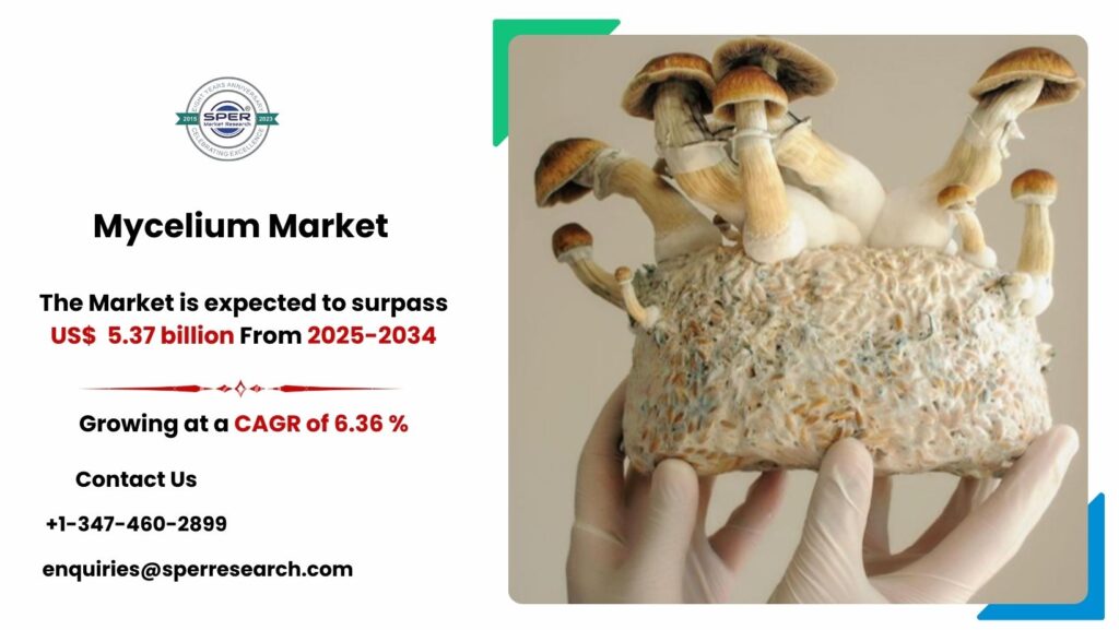 Mycelium Market