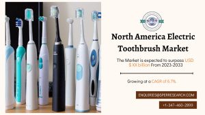 North America Electric Toothbrush Market