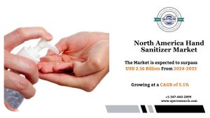 North America Hand Sanitizer Market