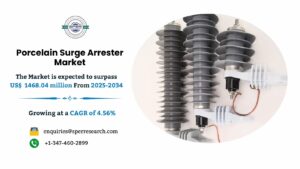 Porcelain Surge Arrester Market