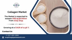 Collagen Market