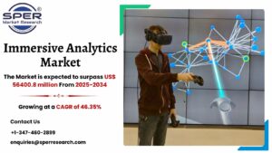 Immersive Analytics Market