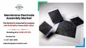 Membrane Electrode Assembly Market