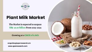 Plant Milk Market