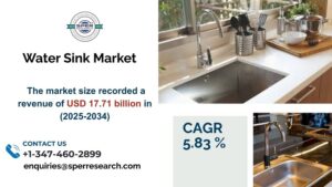 Water Sink Market
