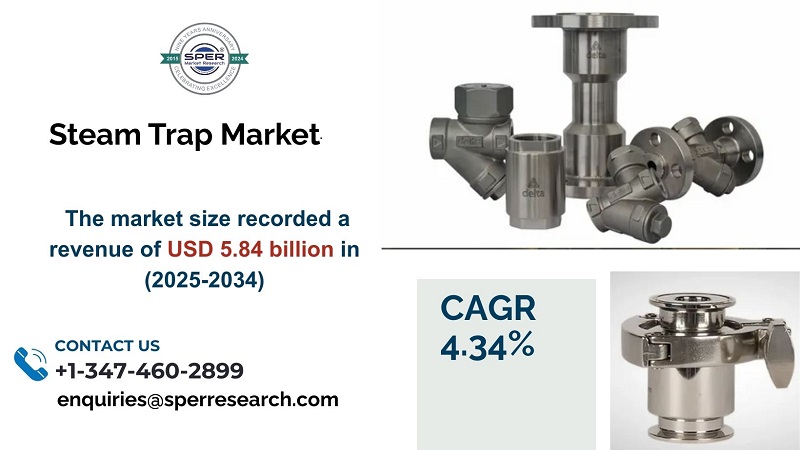steam trap market