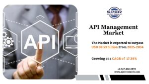 API Management Market