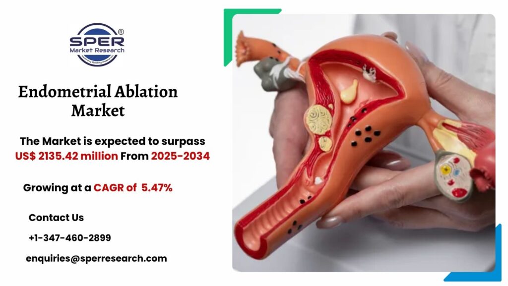 Endometrial Ablation Market
