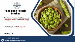 Fava Bean Protein Market