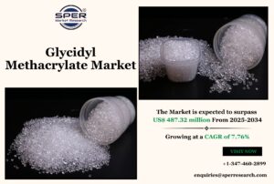 Glycidyl Methacrylate Market