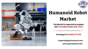 Humanoid Robot Market