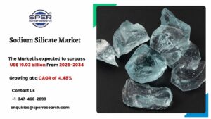 Sodium Silicate Market