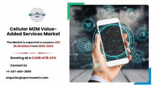 Cellular M2M Value-Added Services Market