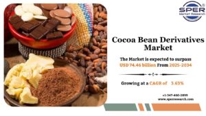 Cocoa Bean Derivatives Market